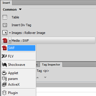 flash menu